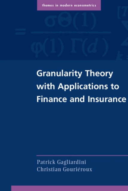 Granularity Theory with Applications to Finance and Insurance, PDF eBook