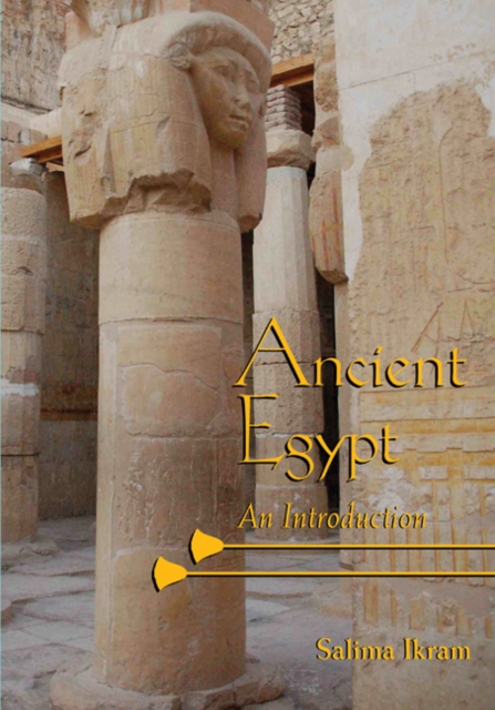 Ancient Egypt : An Introduction, PDF eBook