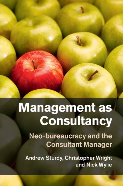 Management as Consultancy : Neo-bureaucracy and the Consultant Manager, EPUB eBook
