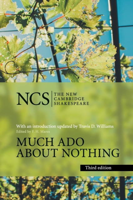 Much Ado about Nothing, Paperback / softback Book