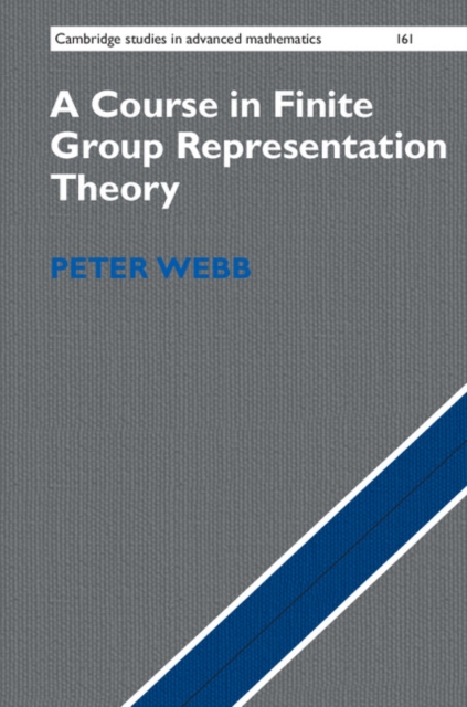 Course in Finite Group Representation Theory, PDF eBook