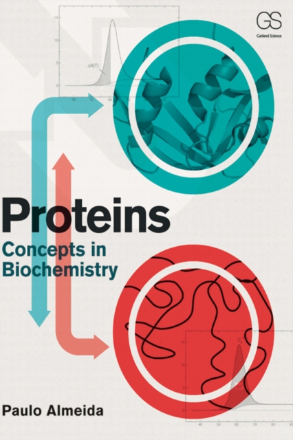 Proteins : Concepts in Biochemistry, PDF eBook