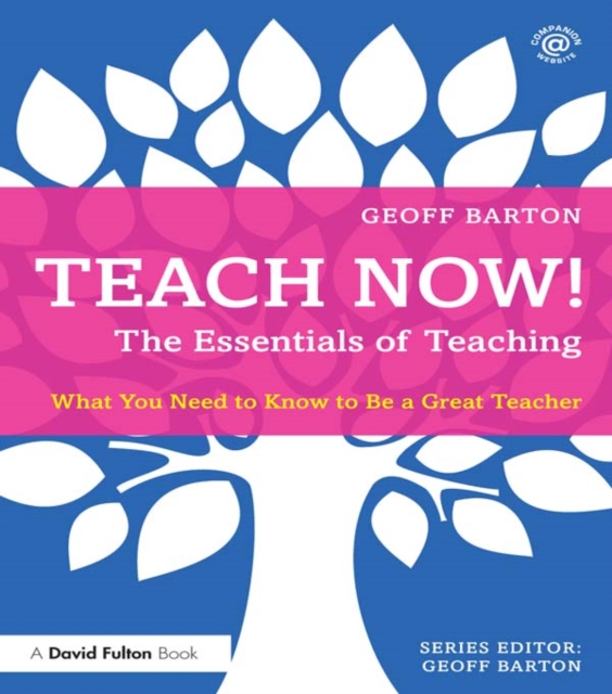 Teach Now! The Essentials of Teaching : What You Need to Know to Be a Great Teacher, EPUB eBook