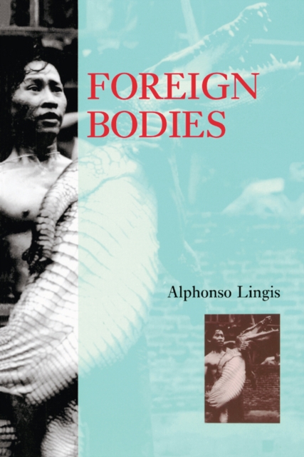 Foreign Bodies, PDF eBook