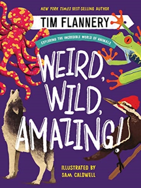 Weird, Wild, Amazing! - Exploring the Incredible World of Animals, Hardback Book