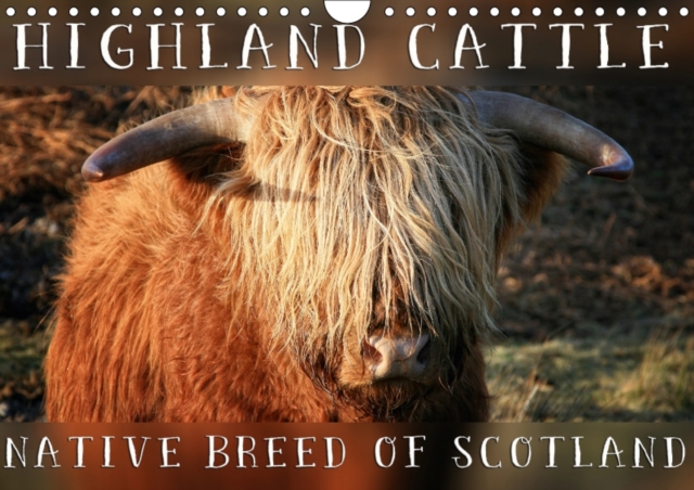 Highland Cattle - Native Breed of Scotland 2017 : Highland Cattle, the Scottish Cattle Breed Photographed in its Own Natural Habitat, Calendar Book