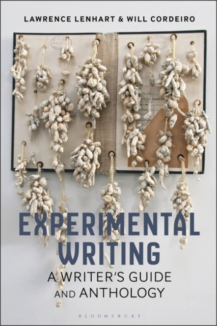 Experimental Writing : A Writer's Guide and Anthology, Paperback / softback Book