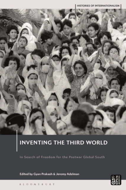 Inventing the Third World : In Search of Freedom for the Postwar Global South, Paperback / softback Book