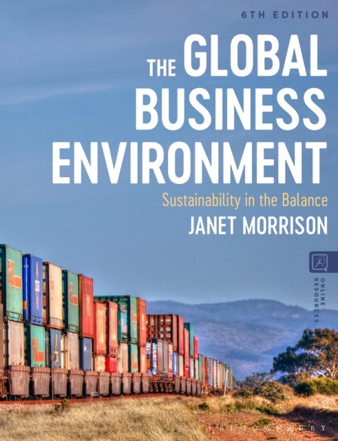 The Global Business Environment : Sustainability in the Balance, Paperback / softback Book