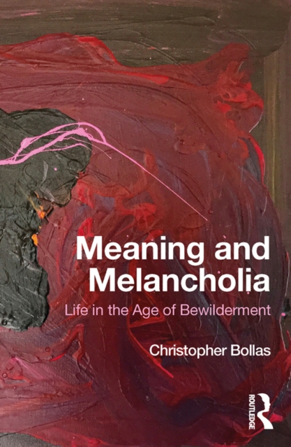 Meaning and Melancholia : Life in the Age of Bewilderment, PDF eBook