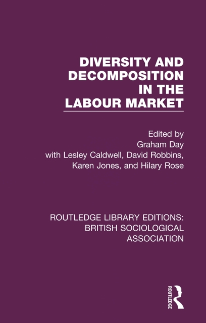 Diversity and Decomposition in the Labour Market, EPUB eBook