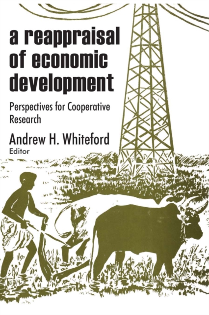 A Reappraisal of Economic Development : Perspectives for Cooperative Research, PDF eBook