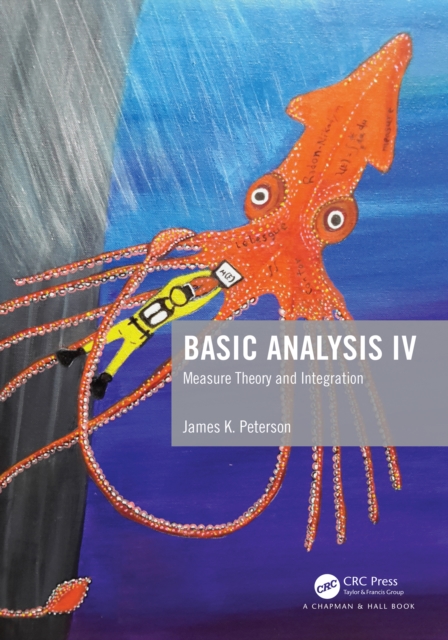 Basic Analysis IV : Measure Theory and Integration, EPUB eBook