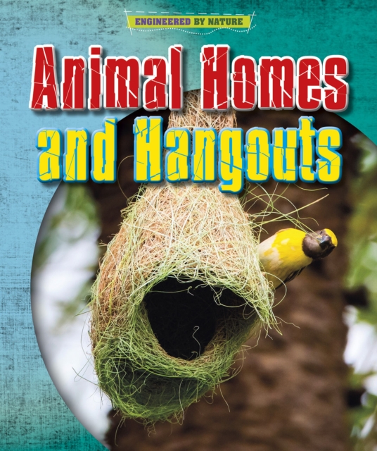 Animal Homes and Hang-outs, PDF eBook