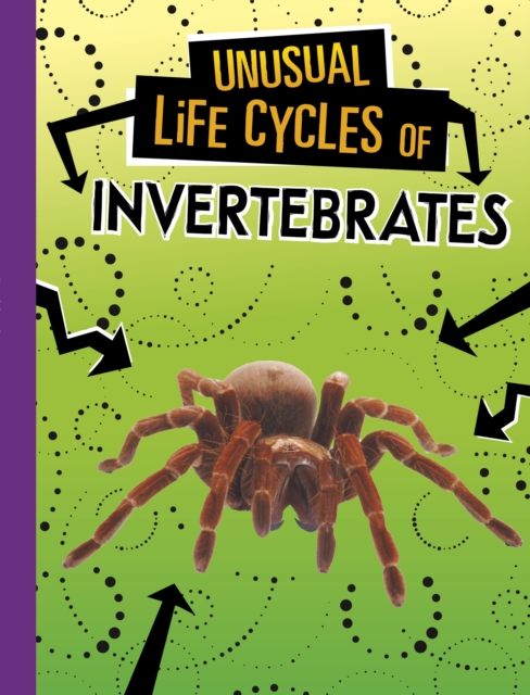 Unusual Life Cycles of Invertebrates, Paperback / softback Book