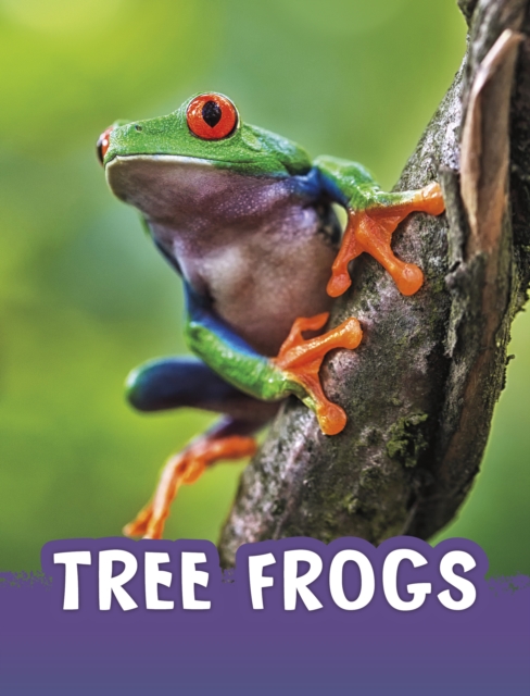 Tree Frogs, Paperback / softback Book