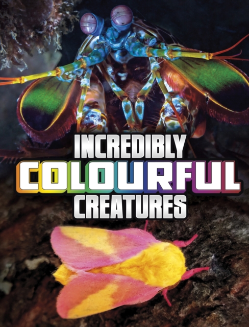 Incredibly Colourful Creatures, Paperback / softback Book