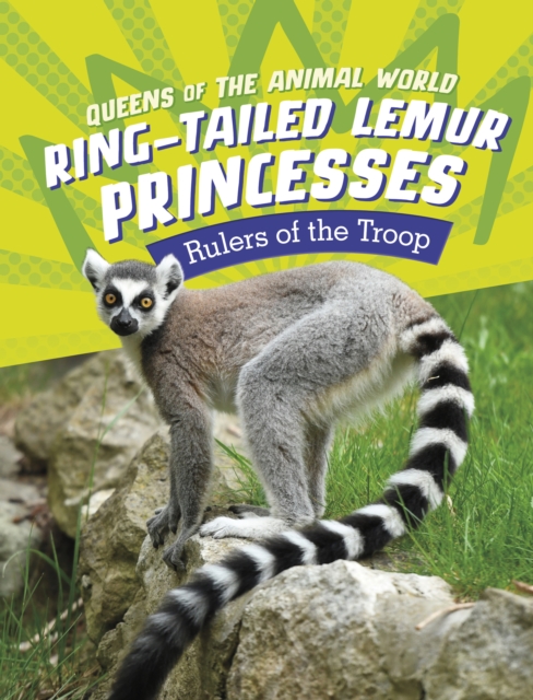Ring-Tailed Lemur Princesses : Rulers of the Troop, Paperback / softback Book