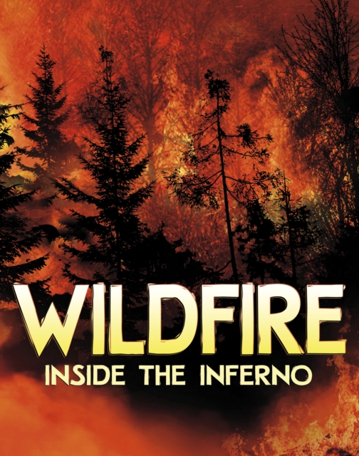 Wildfire, Inside the Inferno, Hardback Book