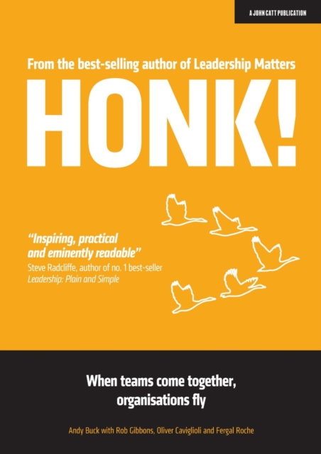 HONK: When teams come together, organisations fly, EPUB eBook