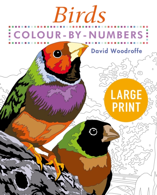 Large Print Colour by Numbers Birds : Easy-to-Read, Paperback / softback Book