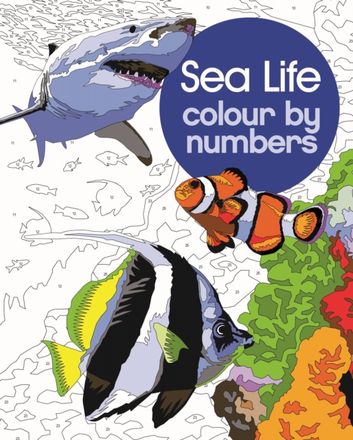 Sea Life Colour by Numbers, Paperback / softback Book
