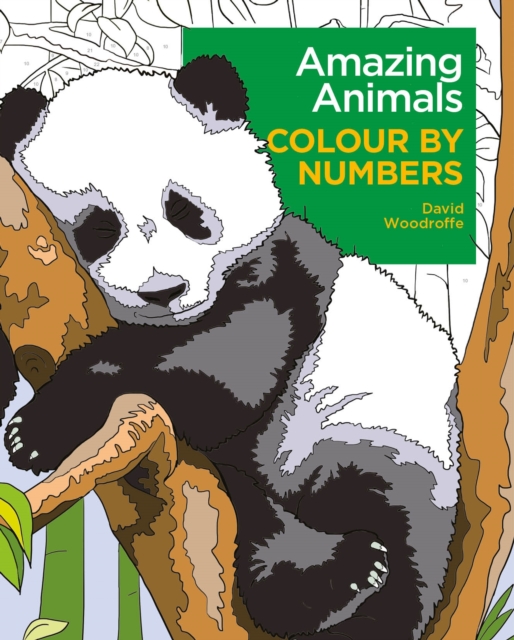 Amazing Animals Colour by Numbers, Paperback / softback Book