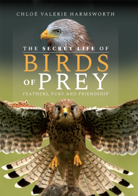 The Secret Life of Birds of Prey : Feathers, Fury and Friendship, PDF eBook