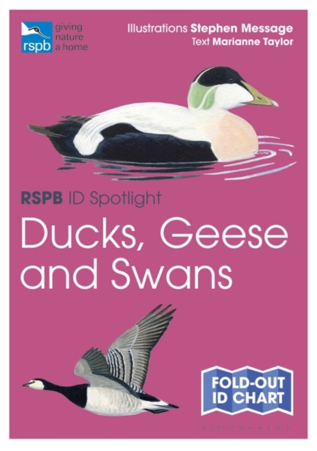 RSPB ID Spotlight - Ducks, Geese and Swans, Fold-out book or chart Book