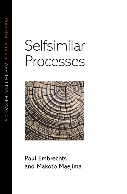 Selfsimilar Processes, EPUB eBook