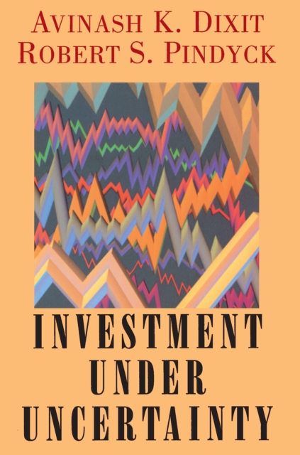Investment under Uncertainty, EPUB eBook