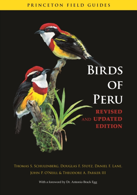 Birds of Peru : Revised and Updated Edition, EPUB eBook