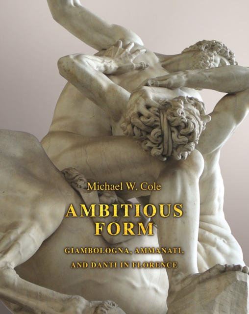 Ambitious Form : Giambologna, Ammanati, and Danti in Florence, EPUB eBook