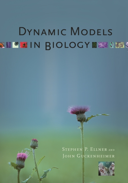 Dynamic Models in Biology, EPUB eBook