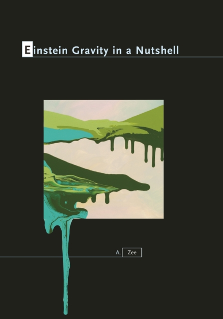 Einstein Gravity in a Nutshell, PDF eBook