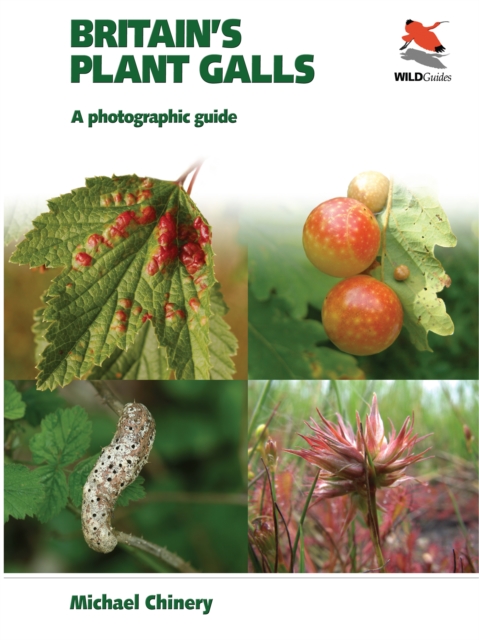 Britain's Plant Galls : A Photographic Guide, PDF eBook