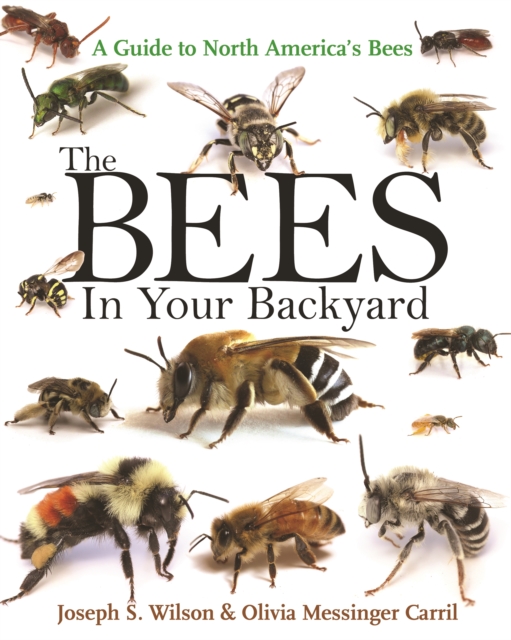 The Bees in Your Backyard : A Guide to North America's Bees, PDF eBook