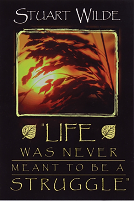 Life Was Never Meant to Be a Struggle, EPUB eBook