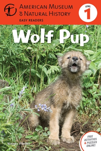 Wolf Pup : (Level 1) Volume 4, Paperback / softback Book
