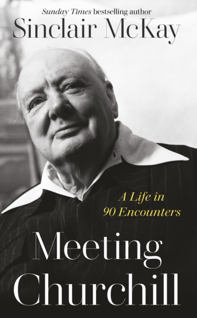 Meeting Churchill : A Life in 90 Encounters, EPUB eBook