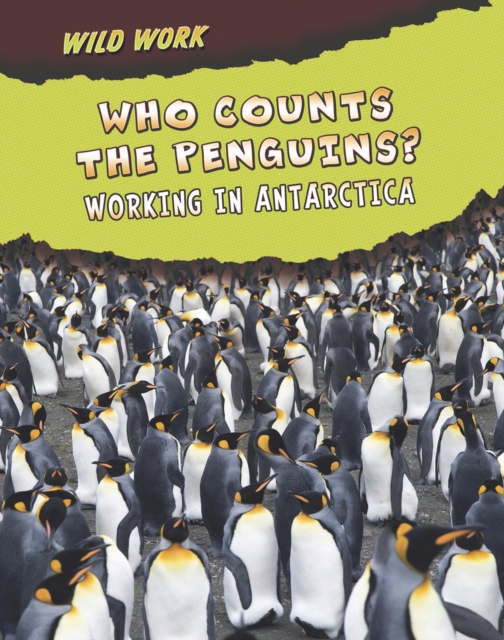 Who Counts the Penguins? : Working in Antarctica, Hardback Book