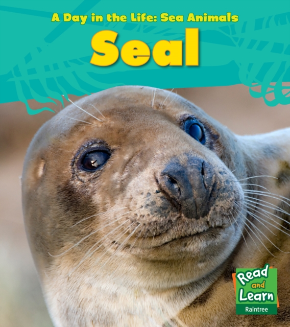 Seal, Hardback Book