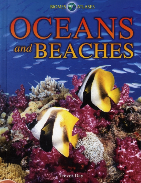 Oceans and Beaches, Hardback Book