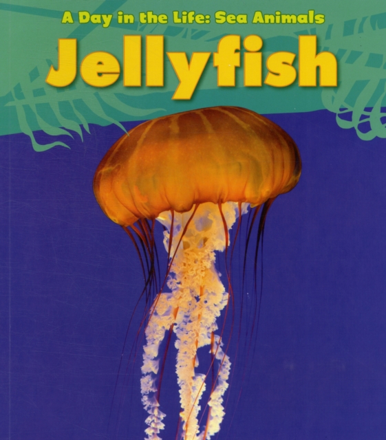 Jellyfish, Paperback Book