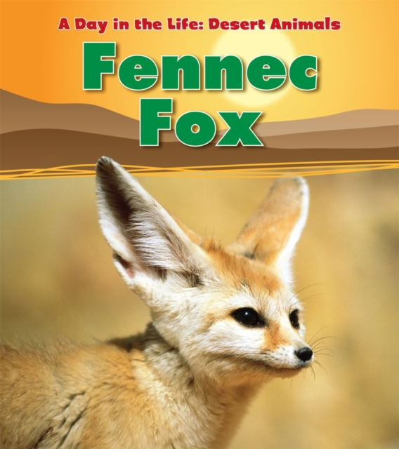 Fennec Fox, Paperback Book