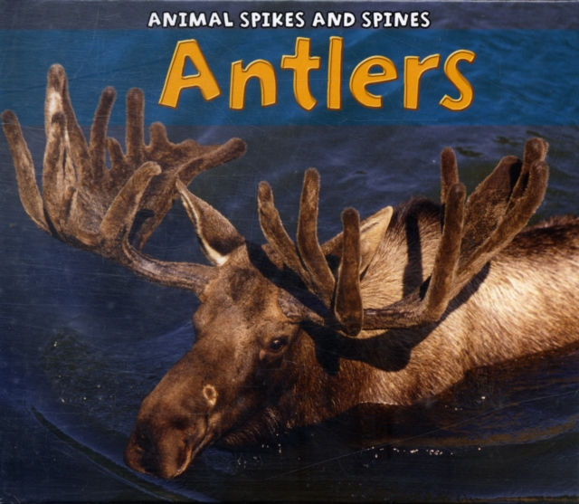 Antlers, Hardback Book
