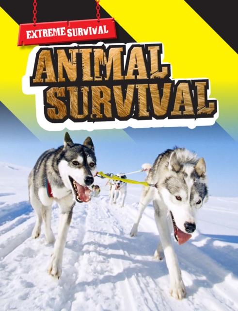 Extreme Survival : Pack A, Paperback Book
