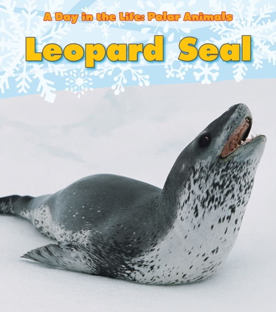 Leopard Seal, Paperback / softback Book