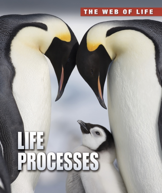 Life Processes, Hardback Book