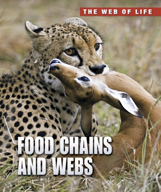Food Chains and Webs, Paperback / softback Book